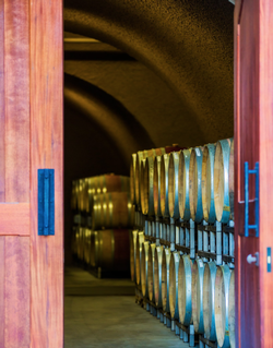Winery Tour & Tasting